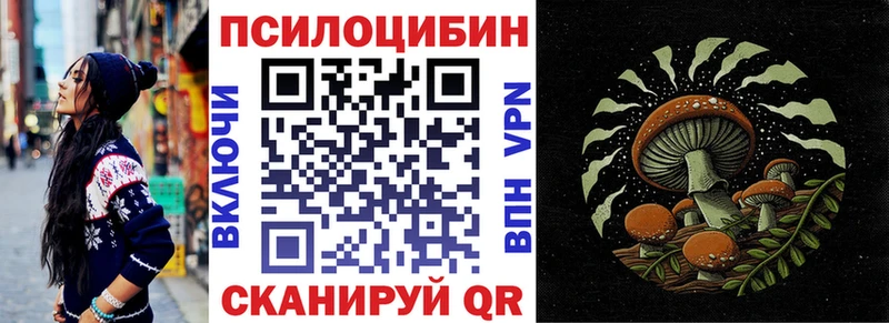 Псилоцибиновые грибы ЛСД  кракен tor  Чекалин 