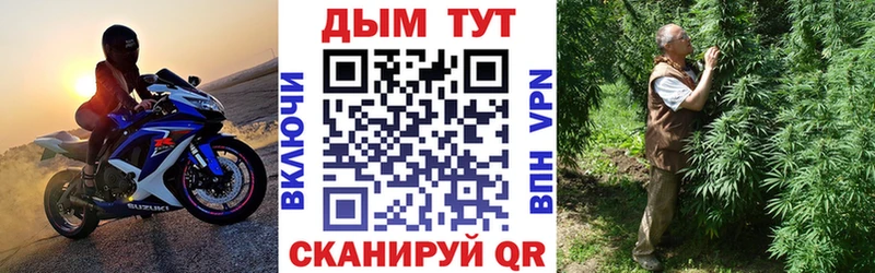 Марихуана сатива Чекалин